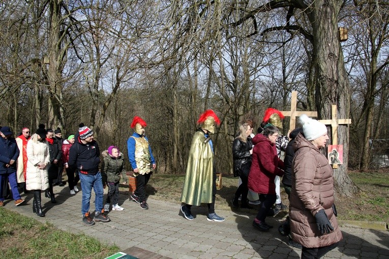 Brwilno. Droga Krzyżowa przy Antoniówce