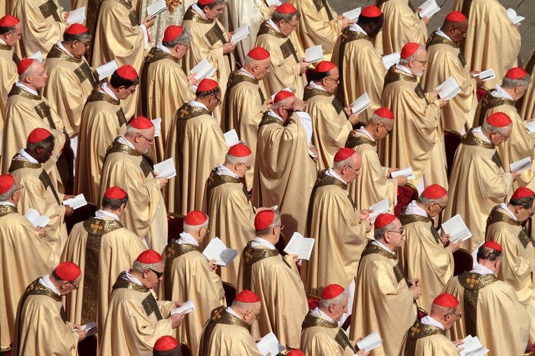 Nowi kardynałowie: ekologiczni i misyjni