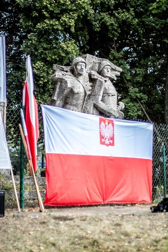 Goń z pomnika bolszewika - pikieta w Lidzbarku Warmińskim