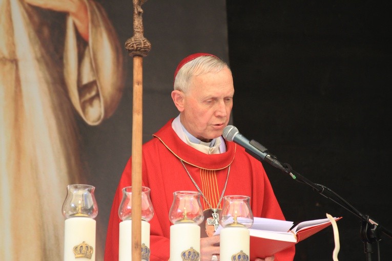 Brwilno. Biskup płocki w Antoniówce