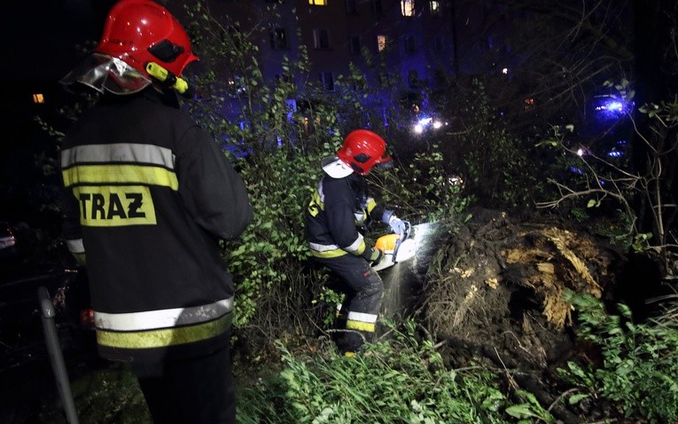 W związku z przechodzącym nad Polską orkanem Sabina minionej doby małopolscy strażacy interweniowali 550 razy