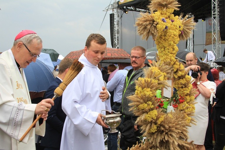 Dożynki diecezjalne. Część 2