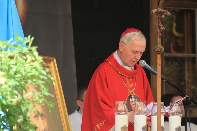 Brwilno. Biskup płocki w Antoniówce