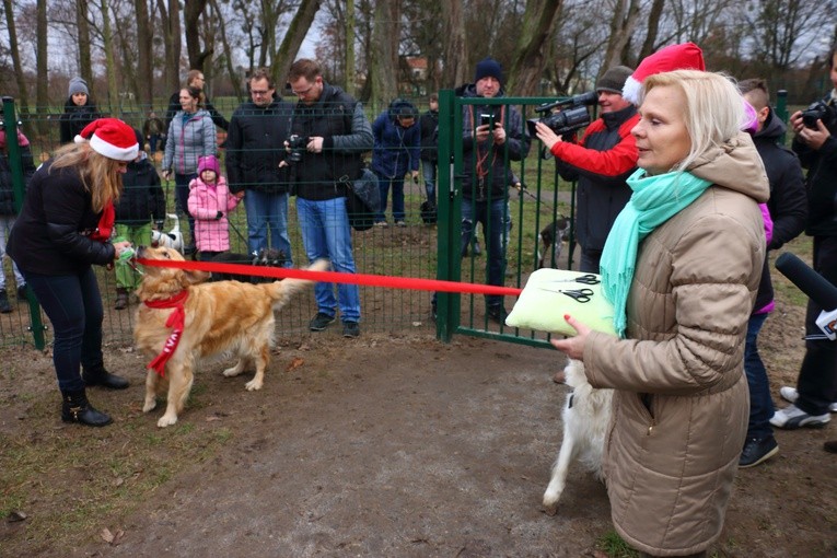 Park dla psów w Elblągu