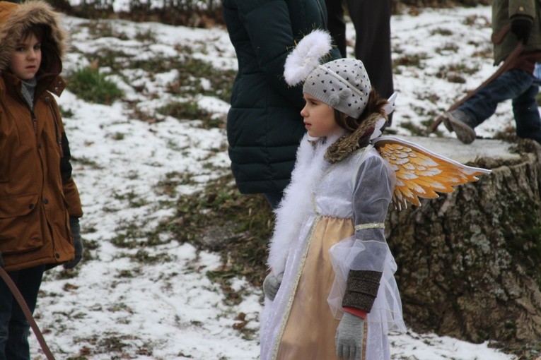 Proboszczewice. Orszak Trzech Króli